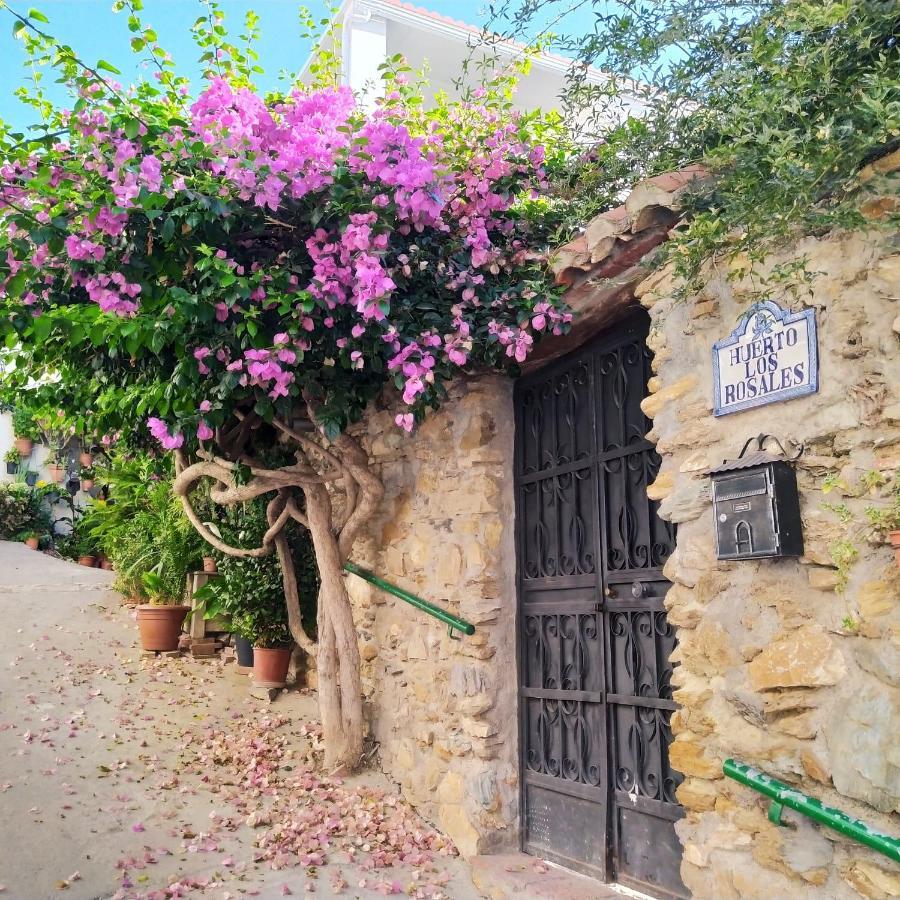 Casa Fuensanta Balcón Al Mar De La Alpujarra Chalé